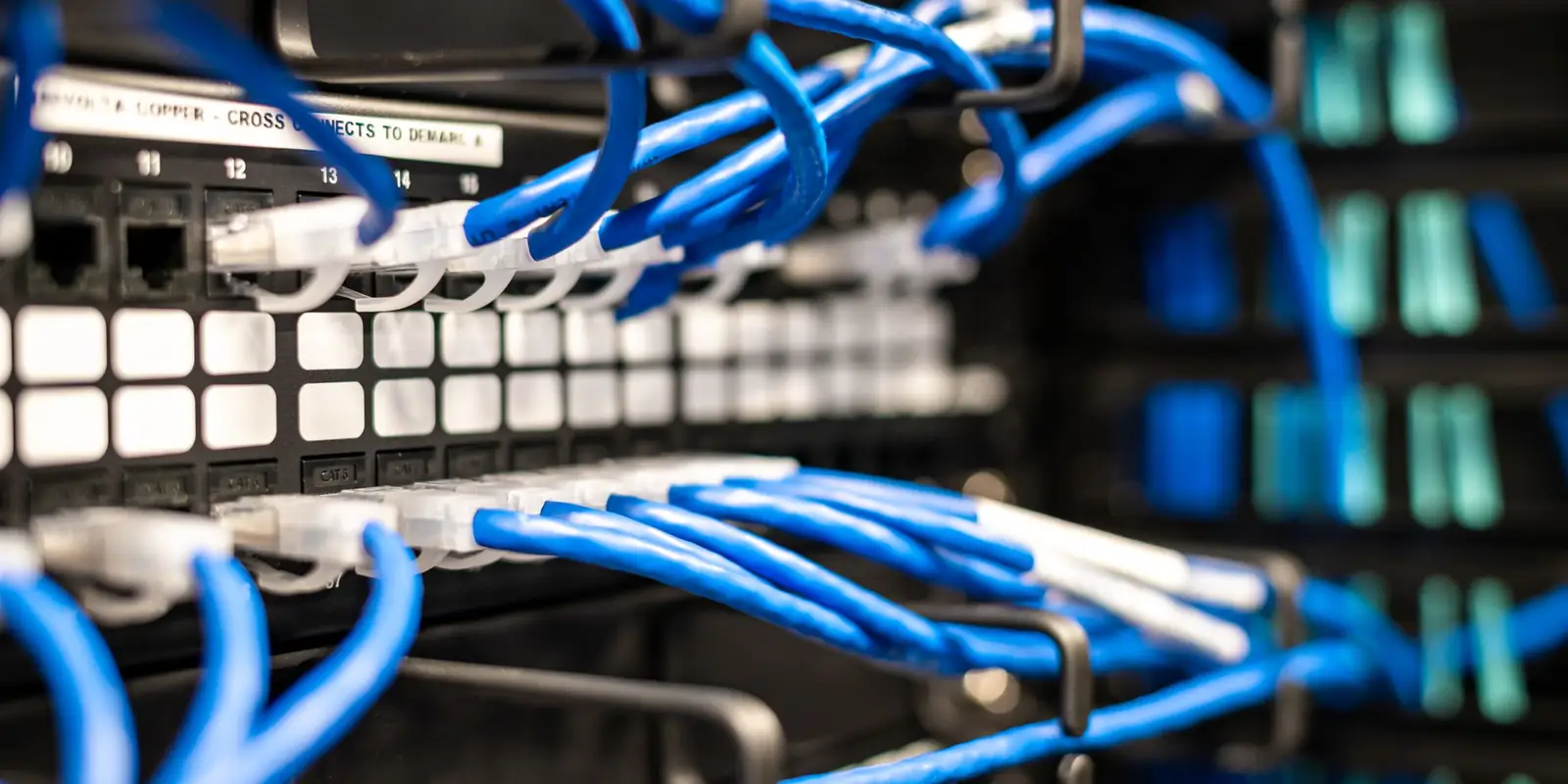 Niebieskie kable sieciowe wpięte w panel krosowniczy